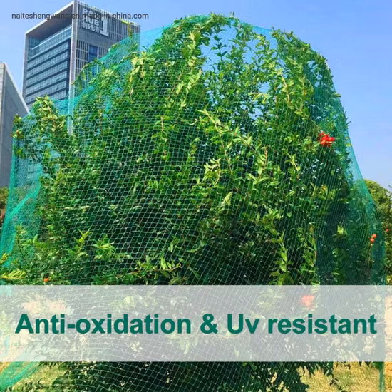 Rete da giardino con maglia quadrata da 2,4