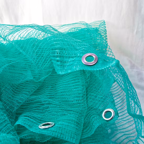 Prezzo economico di fabbrica con rete a maglie con logo per ponteggi per cantiere